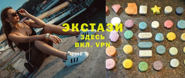 ECSTASY Бородино